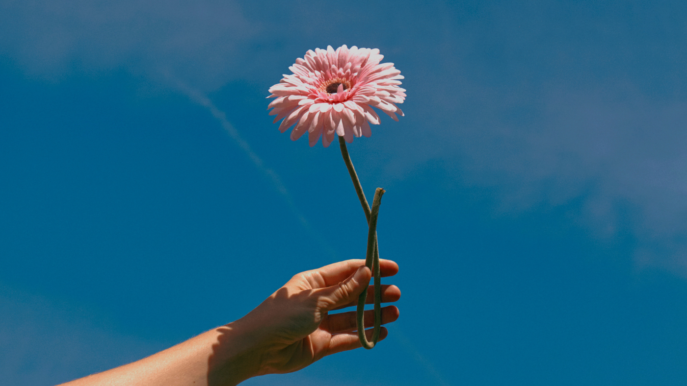 Why You Should Give Flowers To Celebrate Women's Day