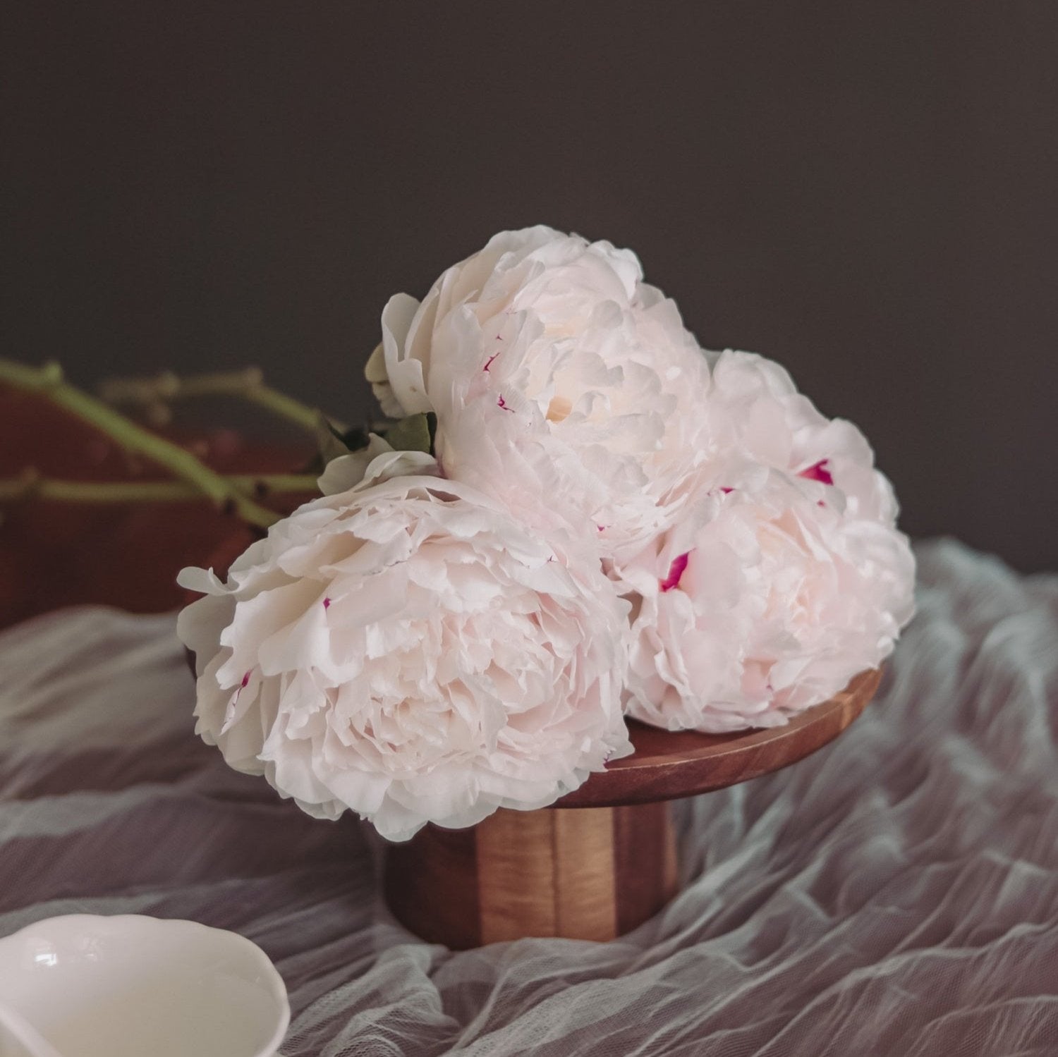 Gardenia Peonies